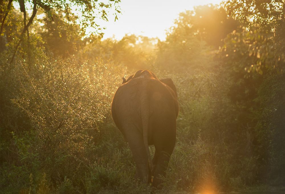 Photograph by Alisha Schnitzer