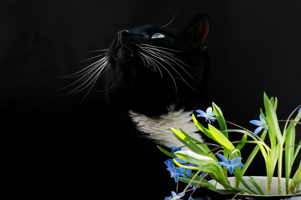 Photograph by Olga Asson