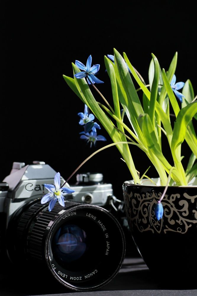 Photograph by Olga Asson