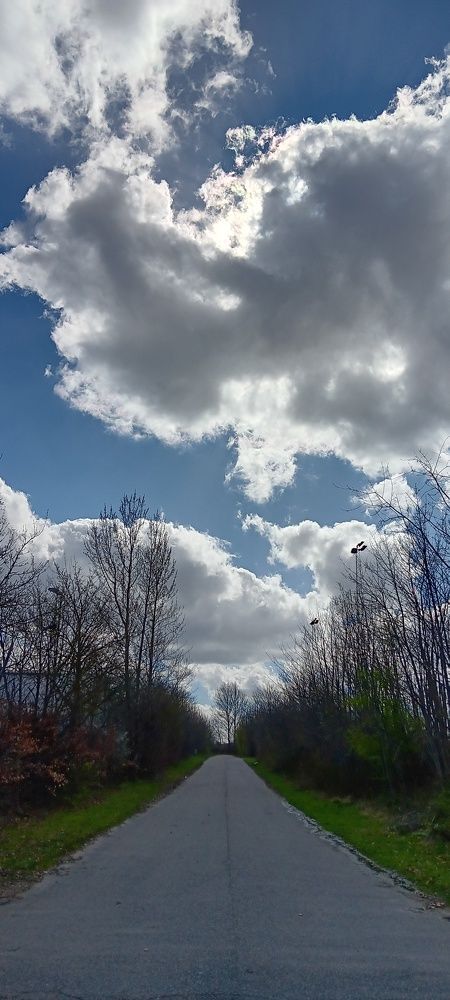 Photograph by Amin Karimi