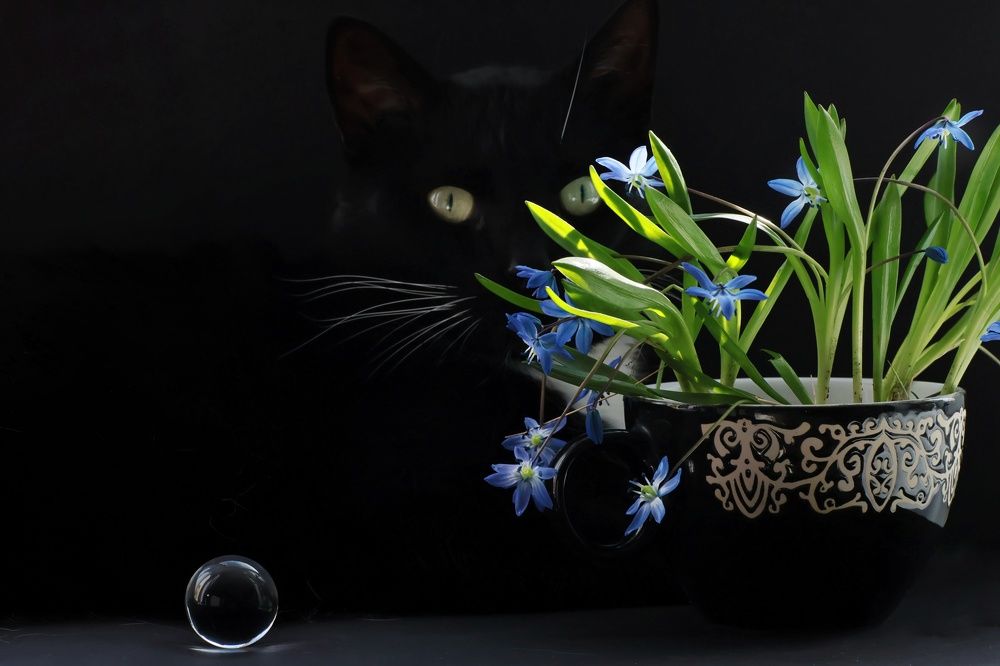 Photograph by Olga Asson