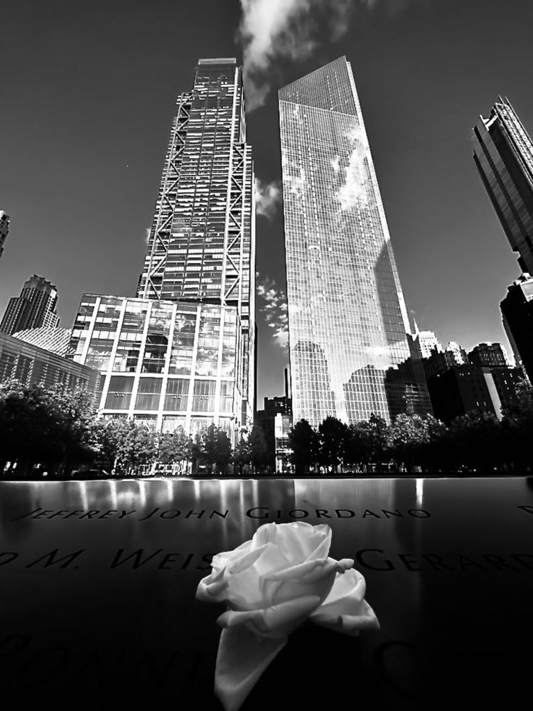 Фотография автора Valeria Erenvert