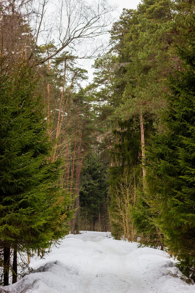 Photograph by Роман Якута