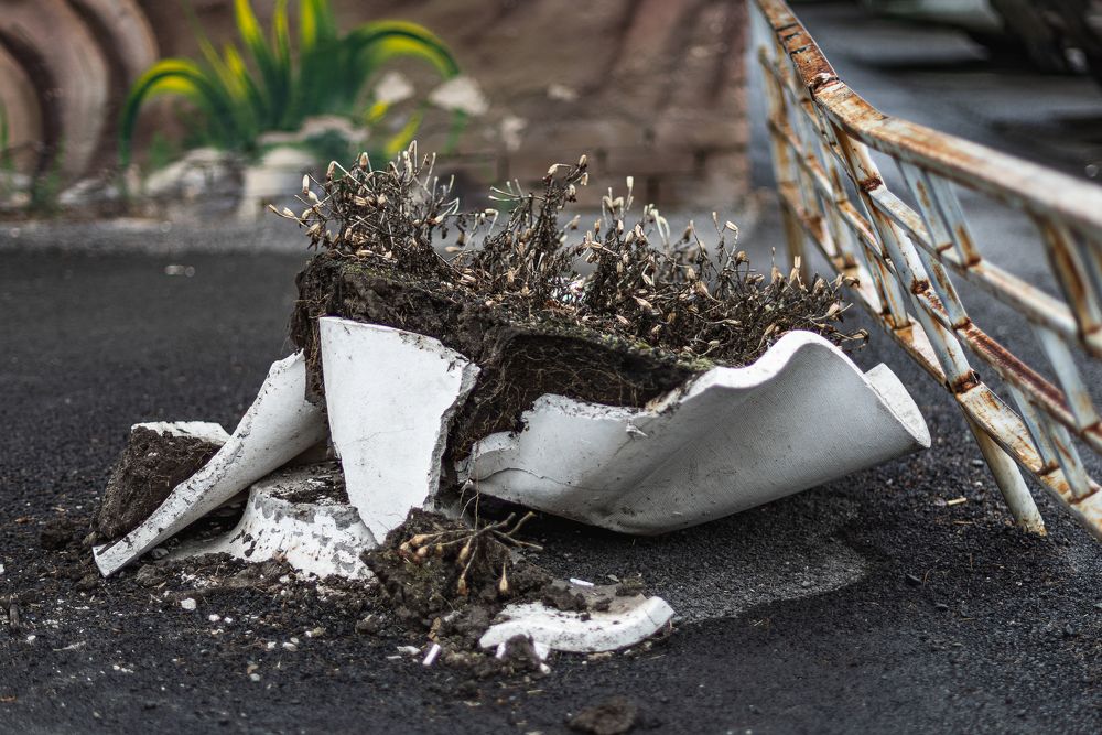 Photograph by Кирилл Шарапов