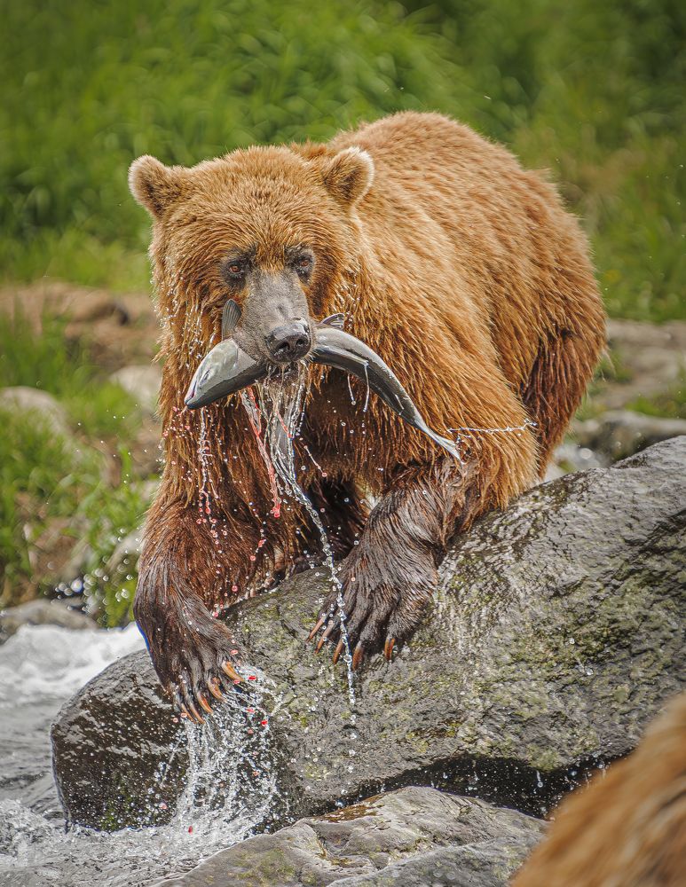 Photograph by Paolo Barbarini