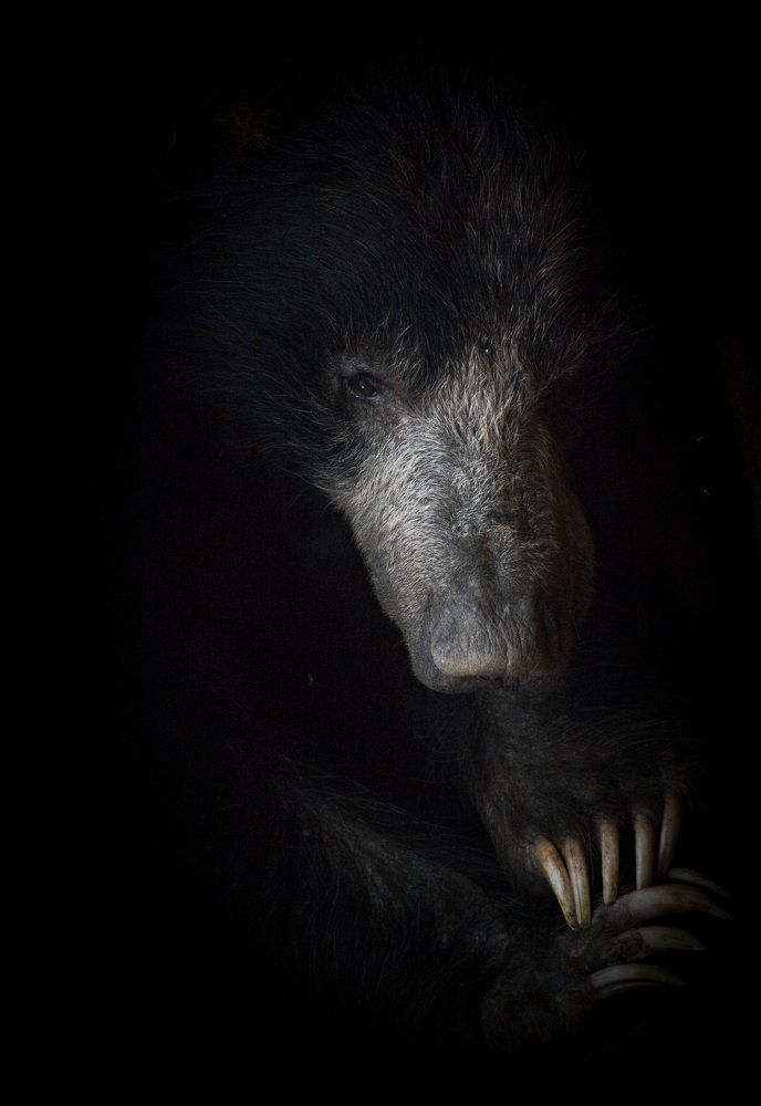 Photograph by Pakalon Janakan