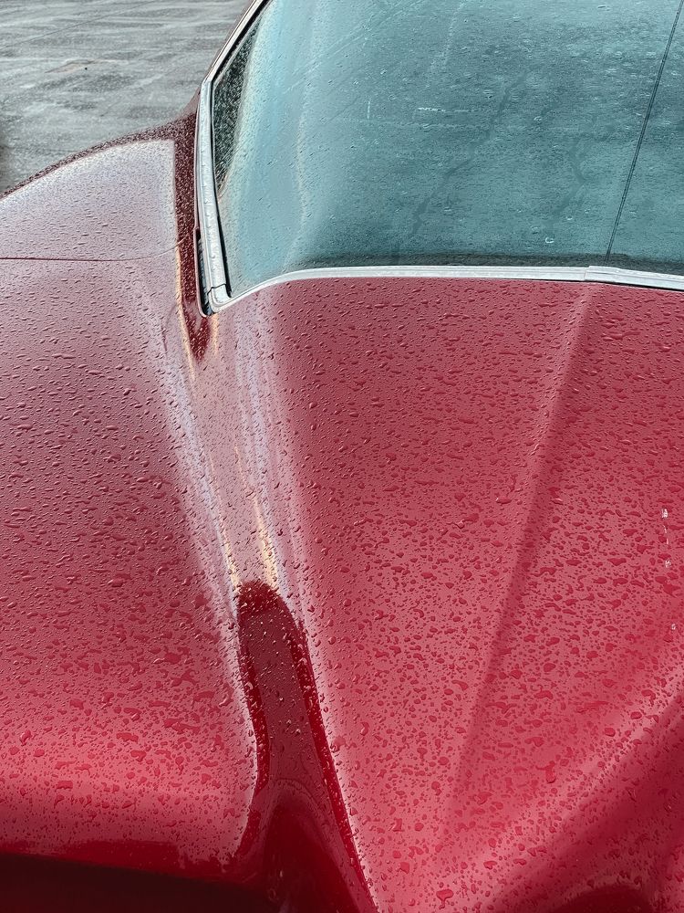 Photograph by Ольга Козлова