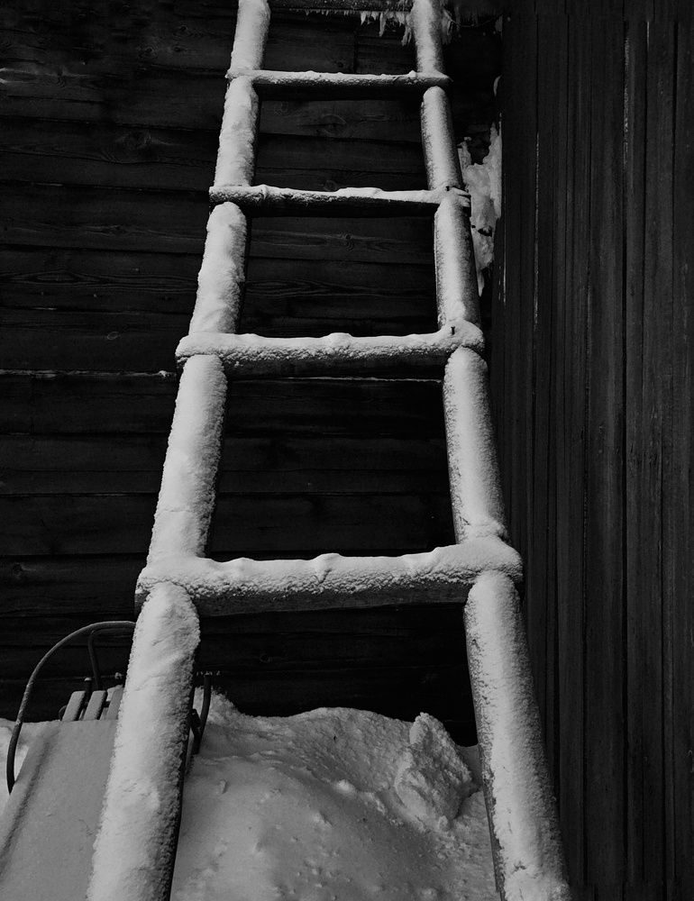 Photograph by Ирина