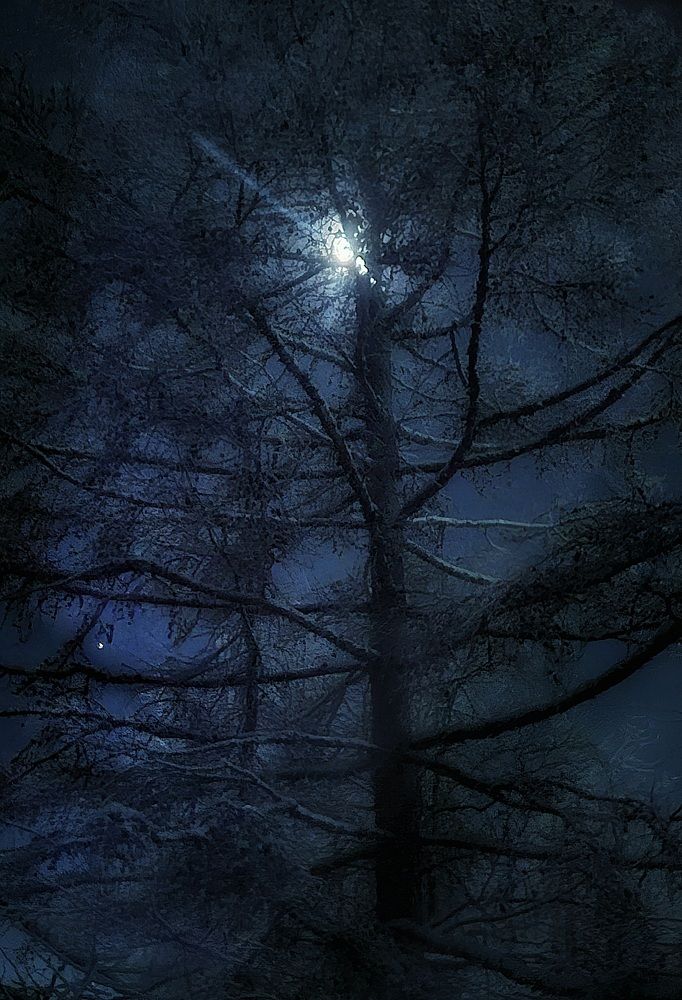 Photograph by Ирина