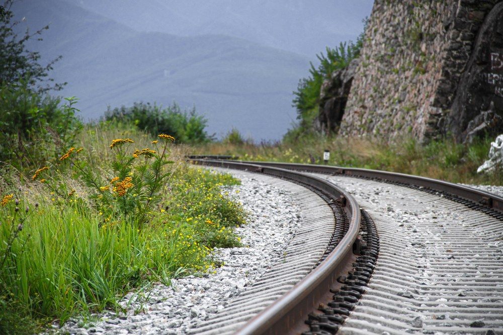 Photograph by Дмитрий Свинухов