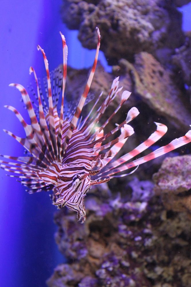 Photograph by Дмитрий Свинухов