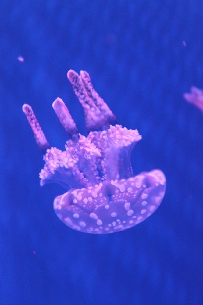 Photograph by Дмитрий Свинухов