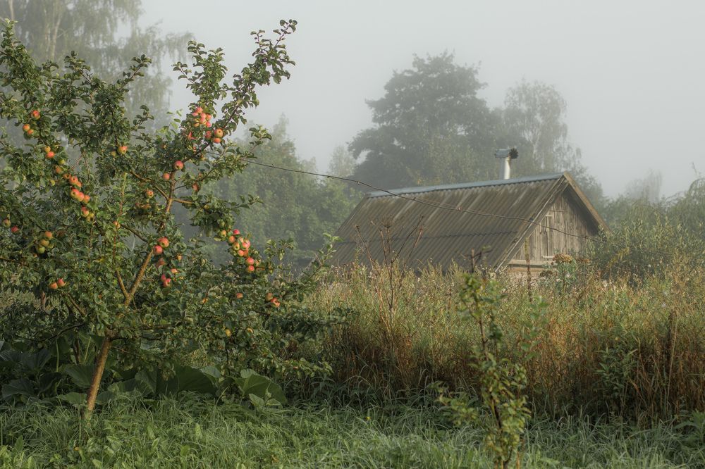 Photograph by Александра Ли