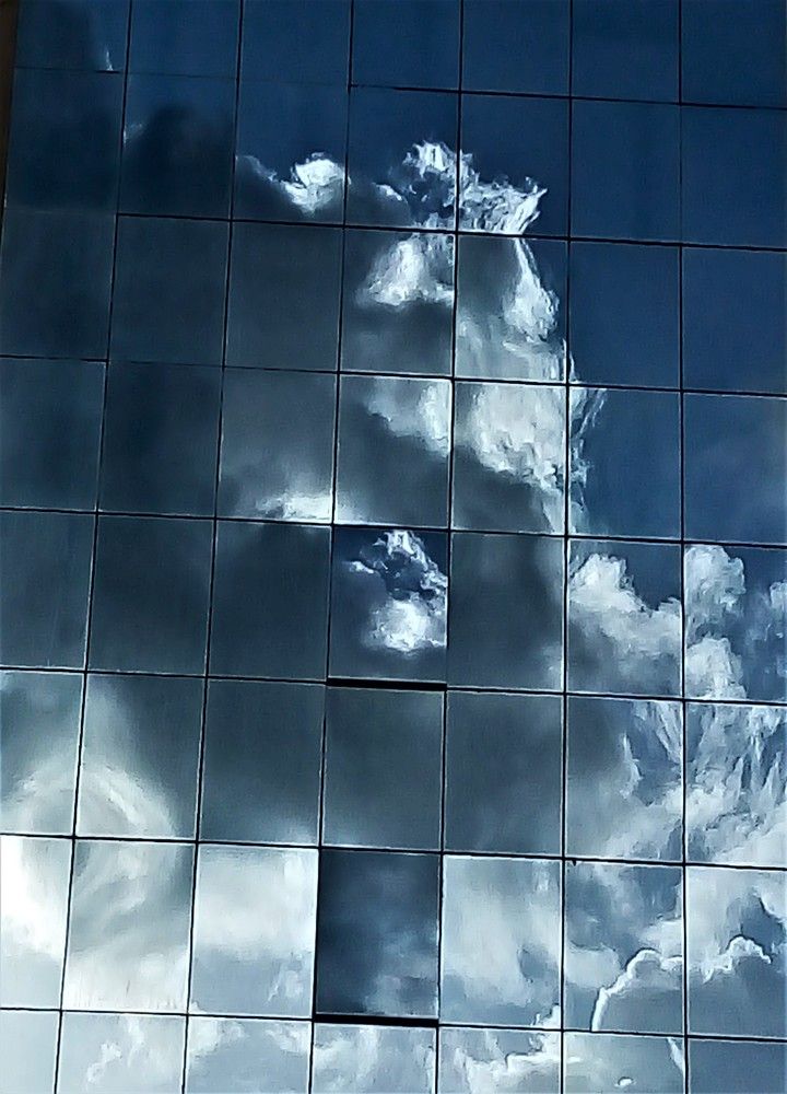 Photograph by Patricia Delionardis