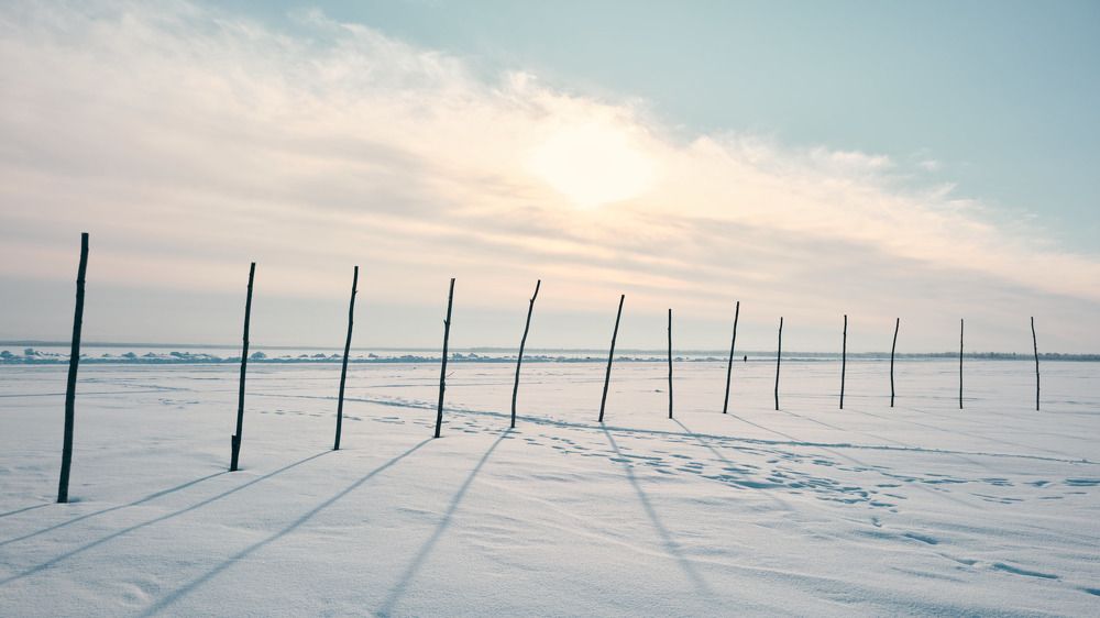 Фотография автора Вячеслав Аркадьевич Митрофанов