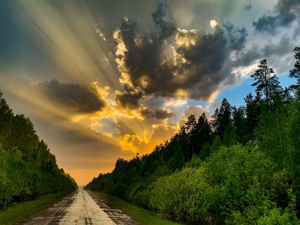 Фотография автора Дмитрий Мясников