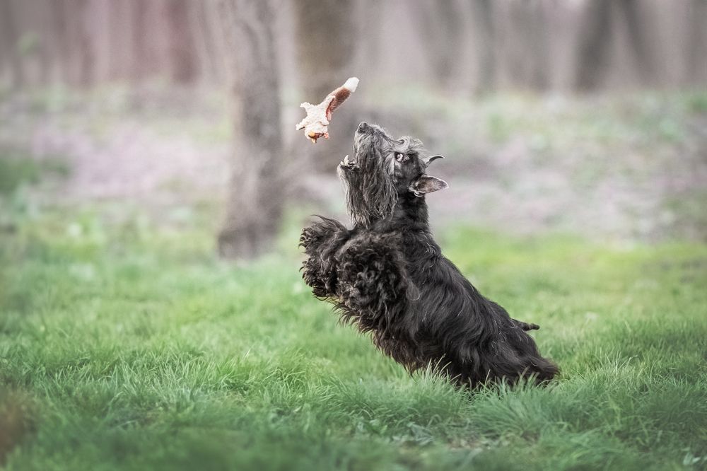 Photograph by Наталья Орел