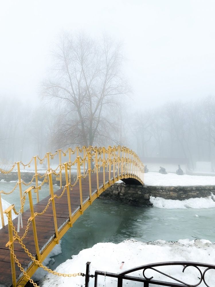 Photograph by Светлана Тютина