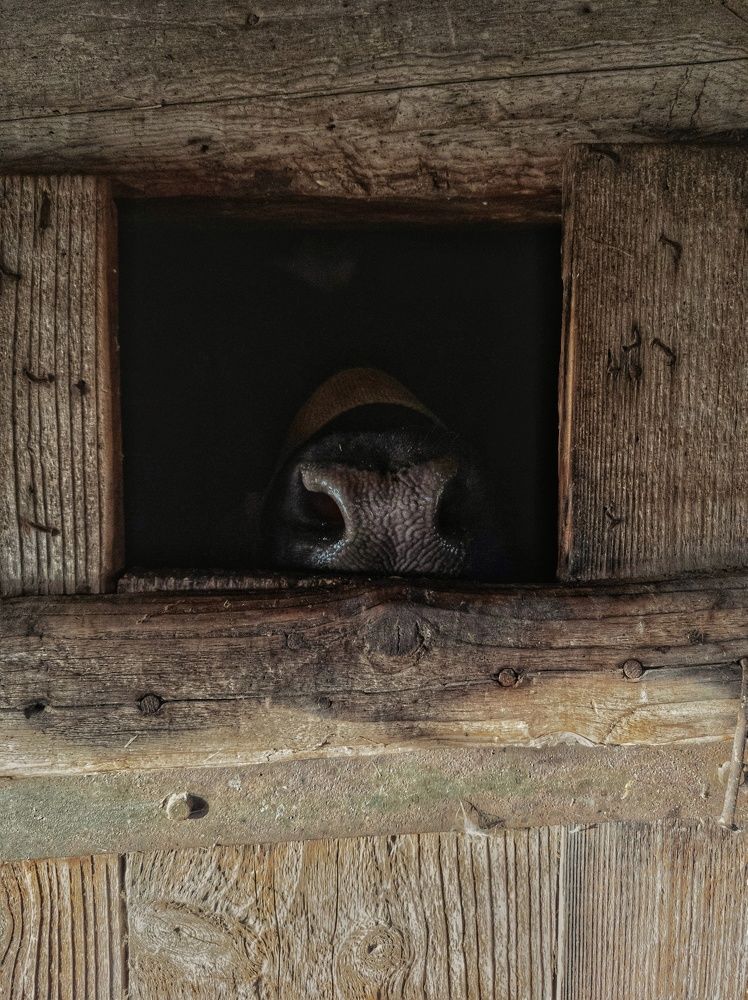 Photograph by Алина