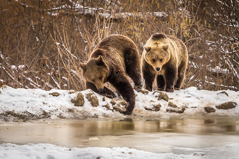 Photograph by Andreea Vestea