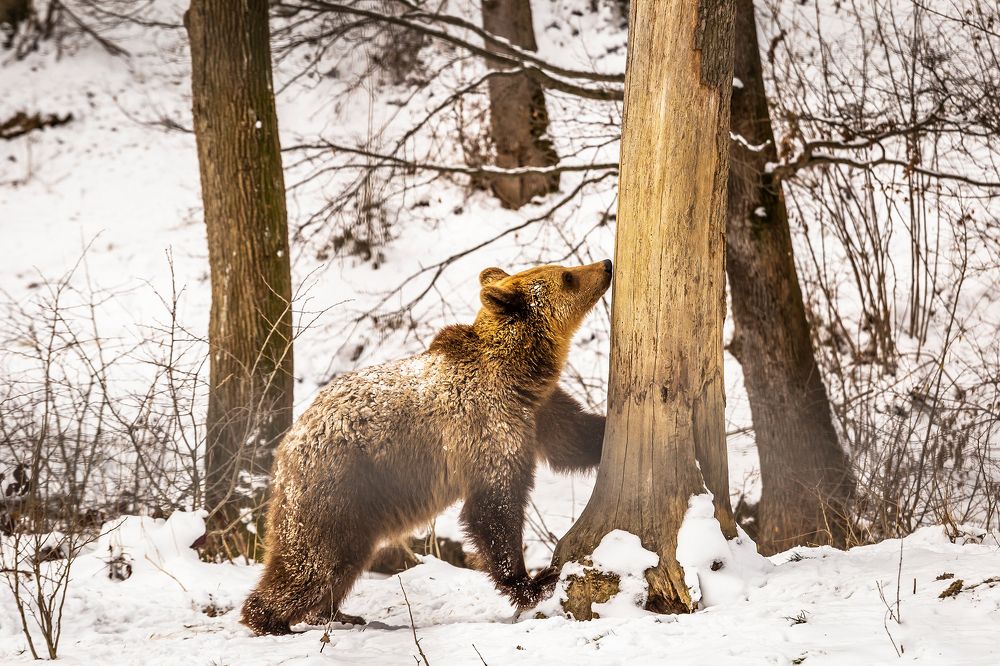 Photograph by Andreea Vestea