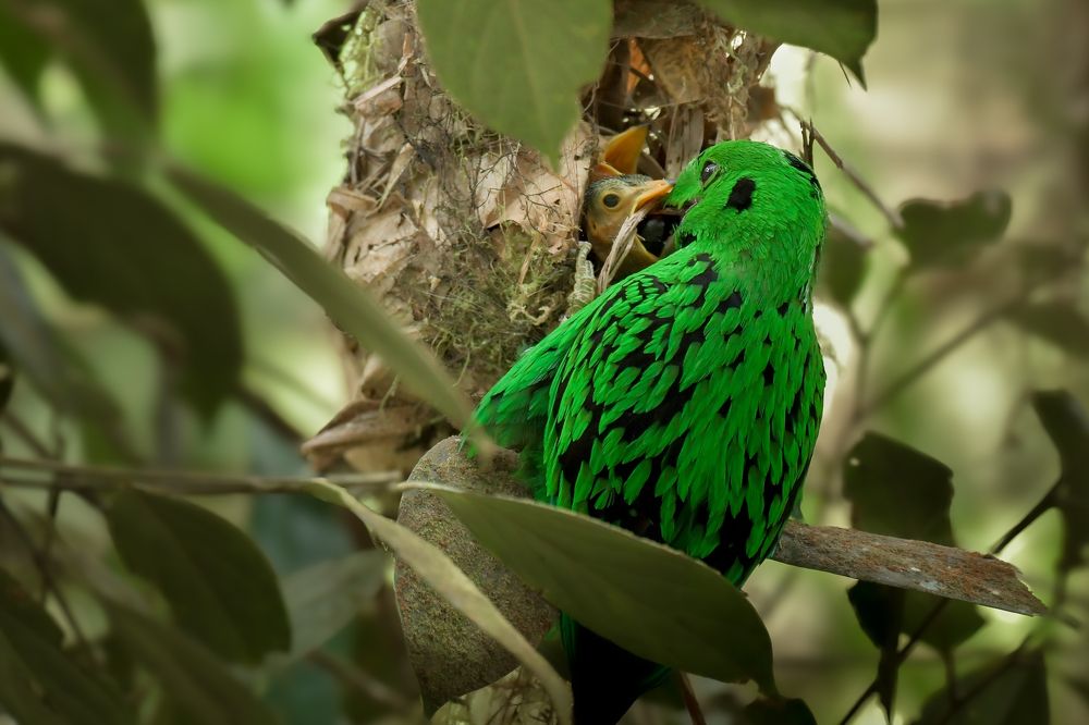 The love of a Mother