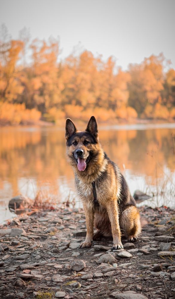 Photograph by Алина Плотникова