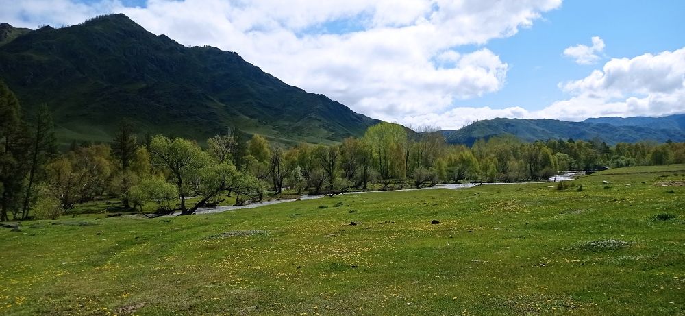 Photograph by Лариса Неудачина