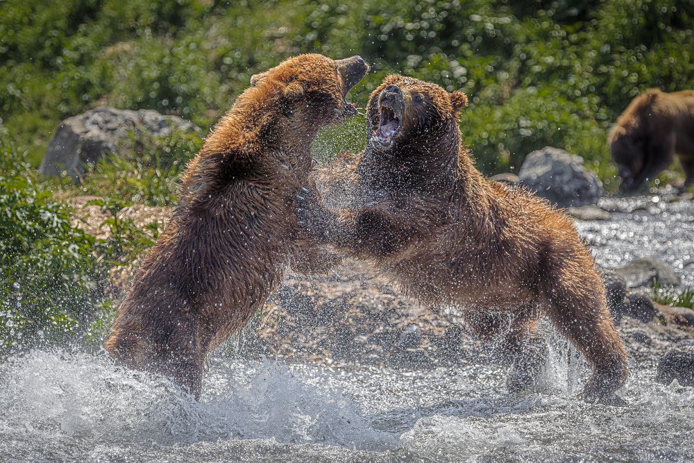 Photograph by Paolo Barbarini