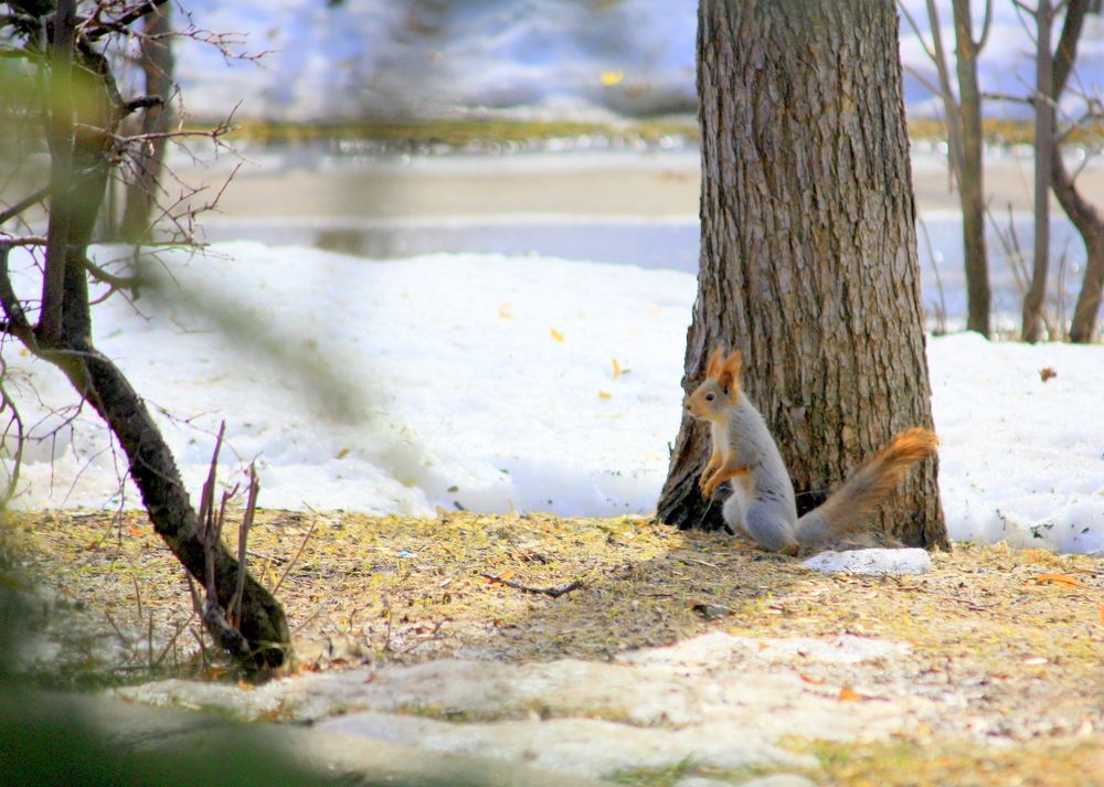 Photograph by Ольга Павлова