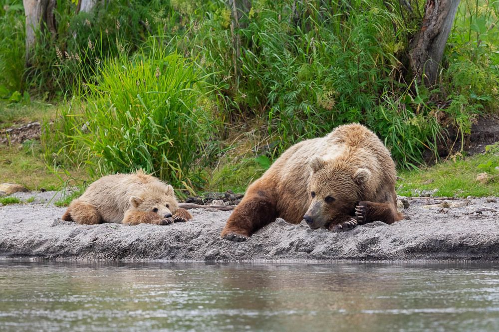 Photograph by Марина Маликова