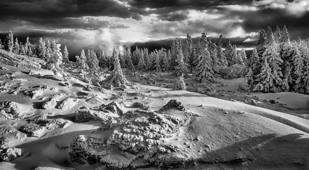 Зимний этюд.