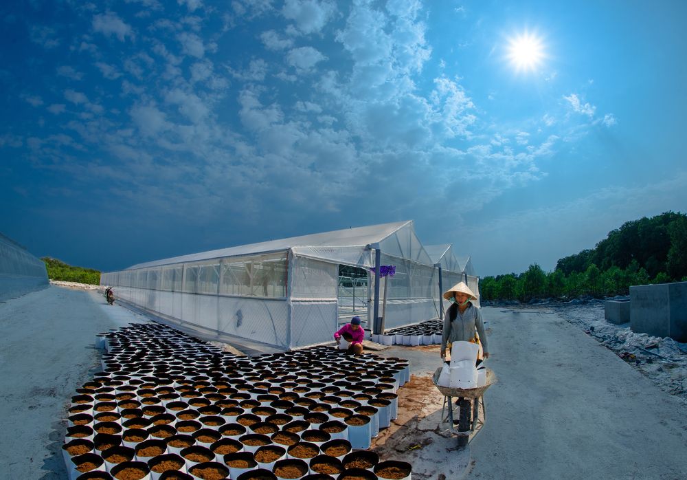 Photograph by Thanh Nhàn