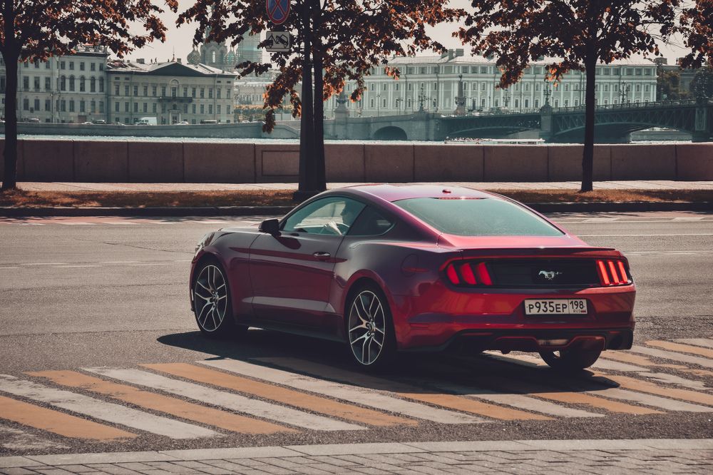 Фотография автора Кристина Шефер