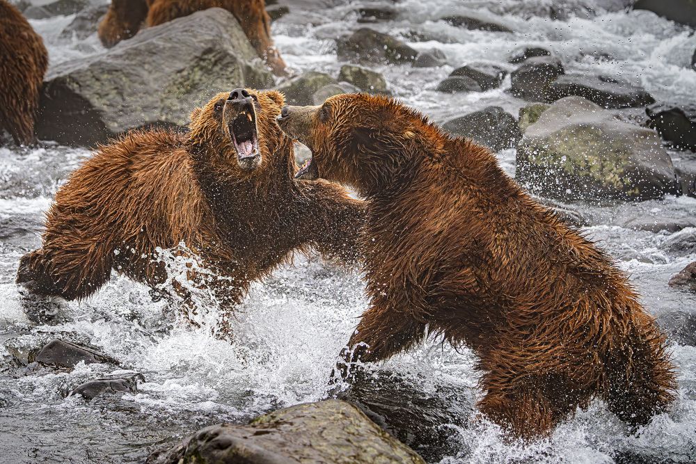 Photograph by Paolo Barbarini