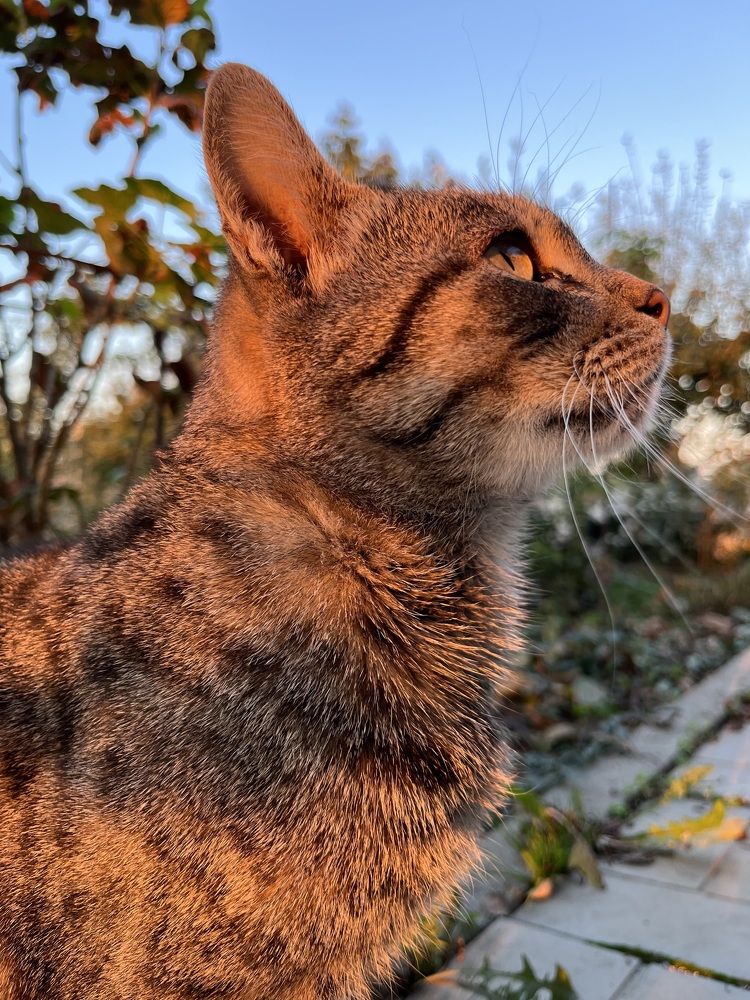 Photograph by Ника Клименко