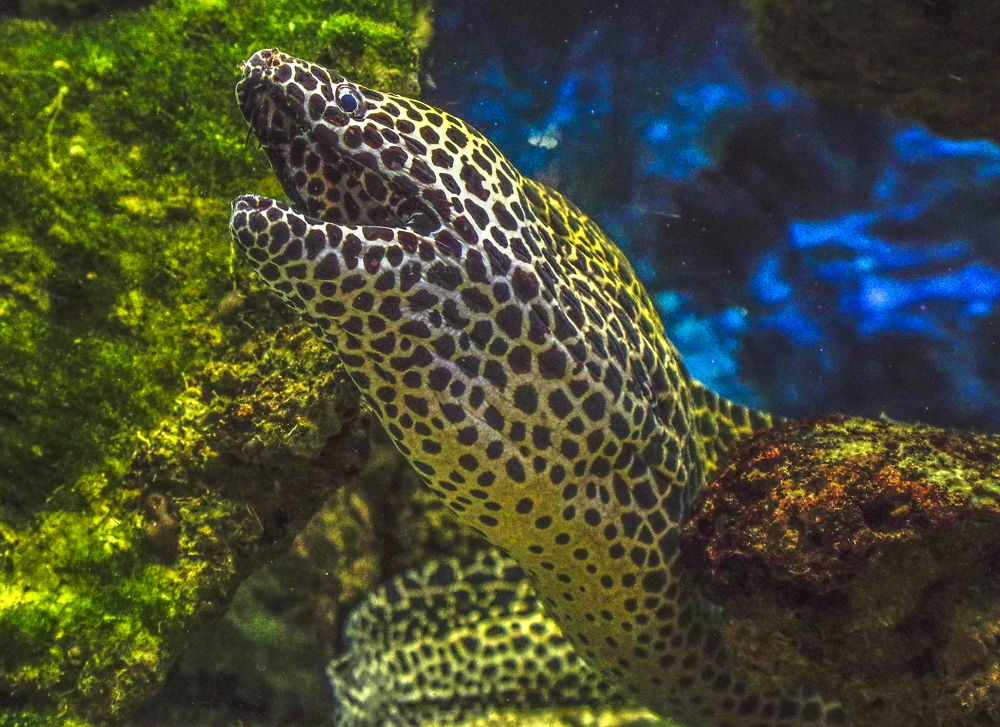 Photograph by Михаил Измайлов