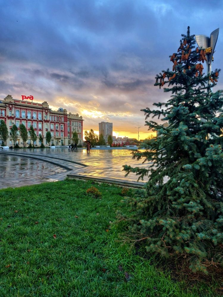 Photograph by Alexander Post61