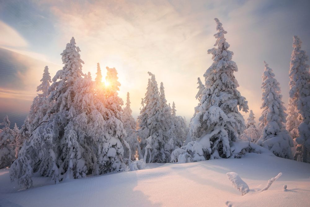 Photograph by Соколова Елена