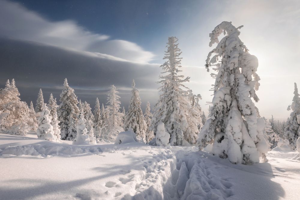 Photograph by Соколова Елена