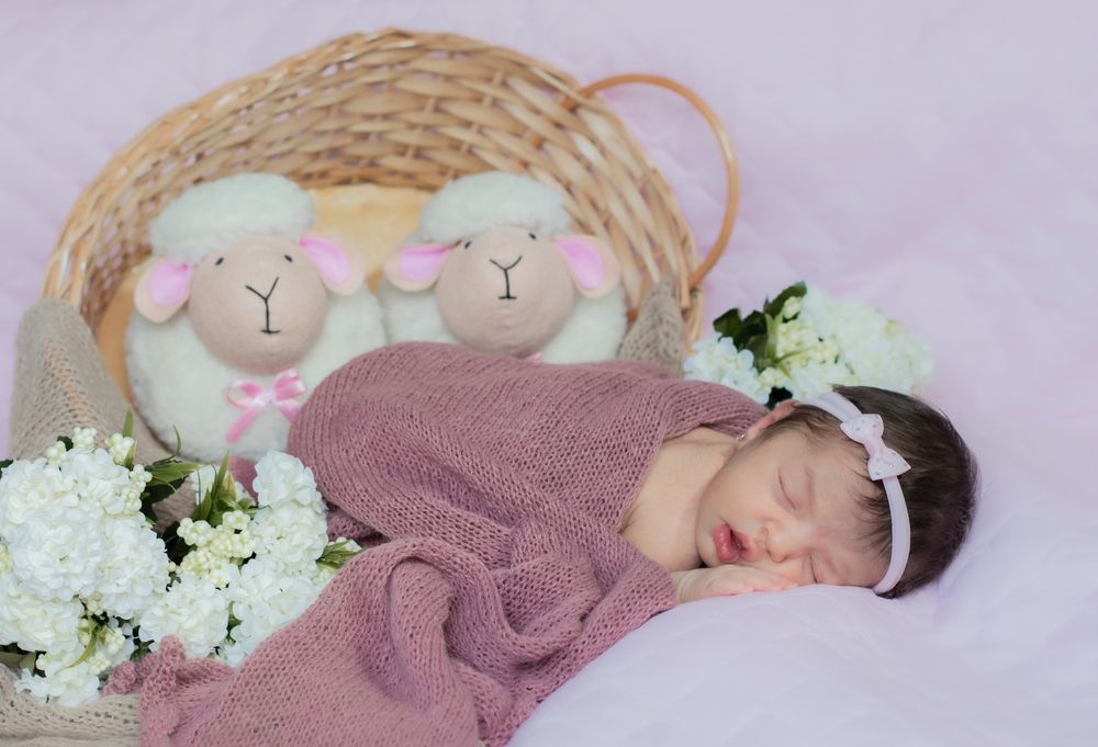 Фотография автора Maichel de Paula