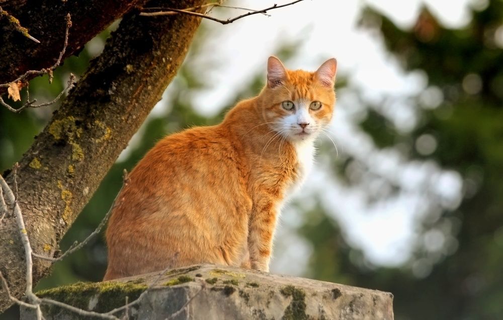 Photograph by Татьяна Слесарева