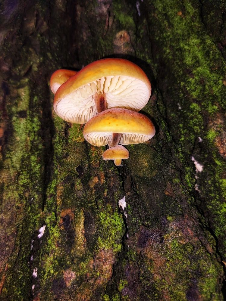 Photograph by Alexander Post61