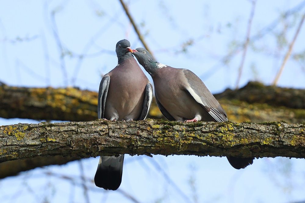 Фотография автора Игорь Ефремычев