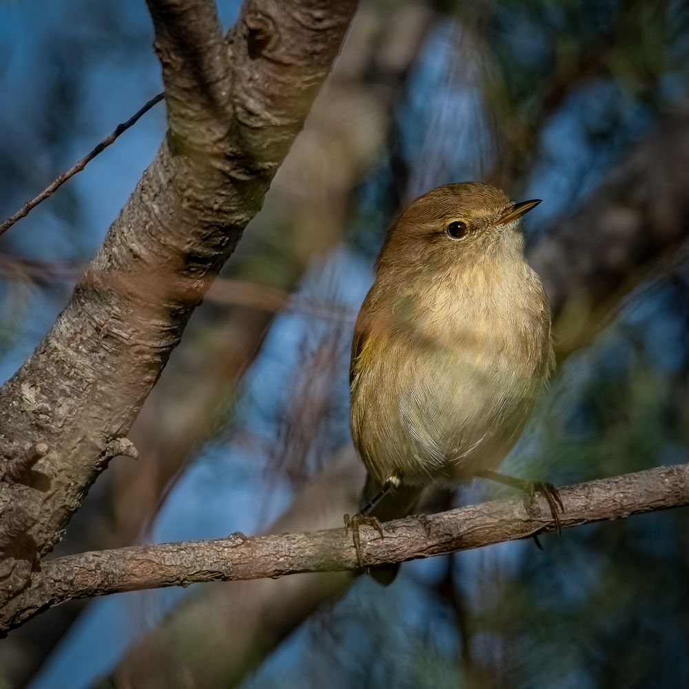 Photograph by Andrea Barlotti