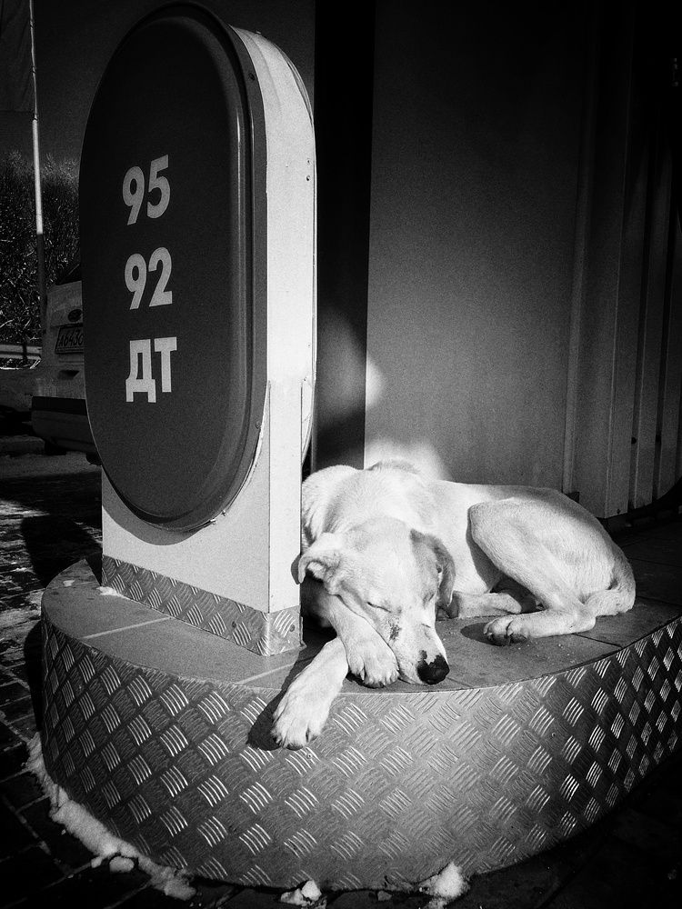 Photograph by Кривенко Владимир