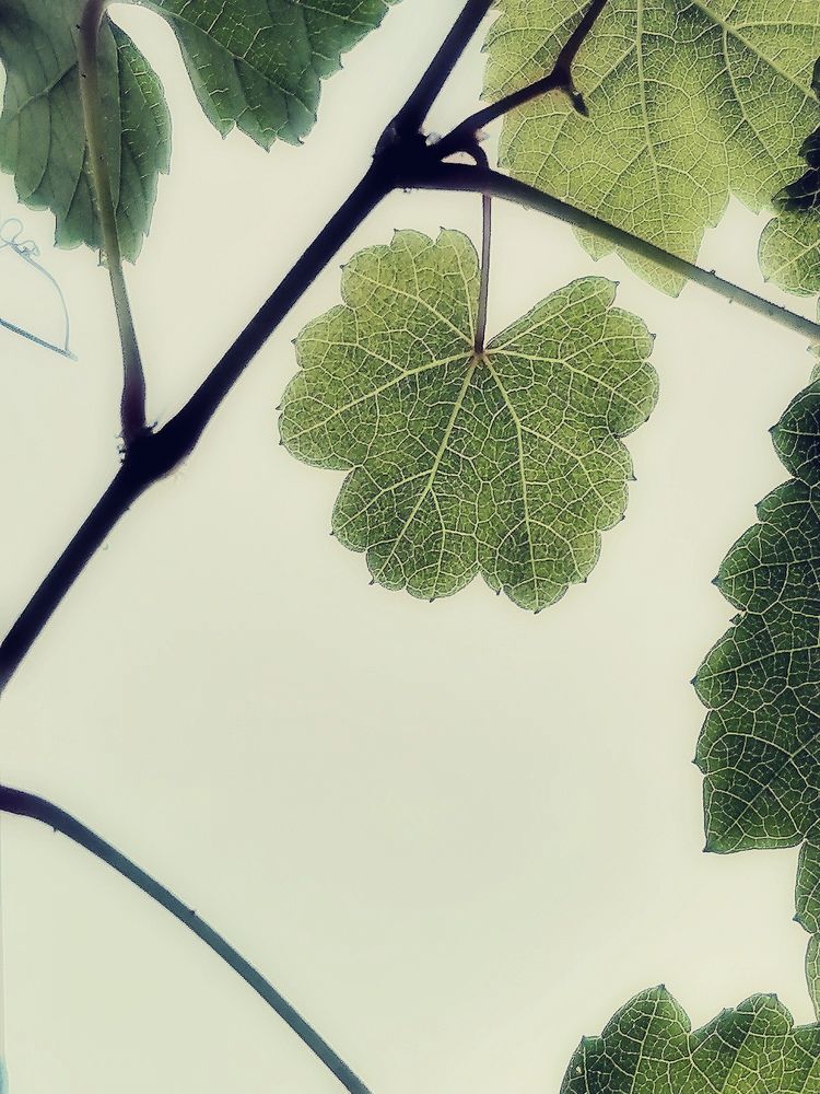 Photograph by Алексей Титков