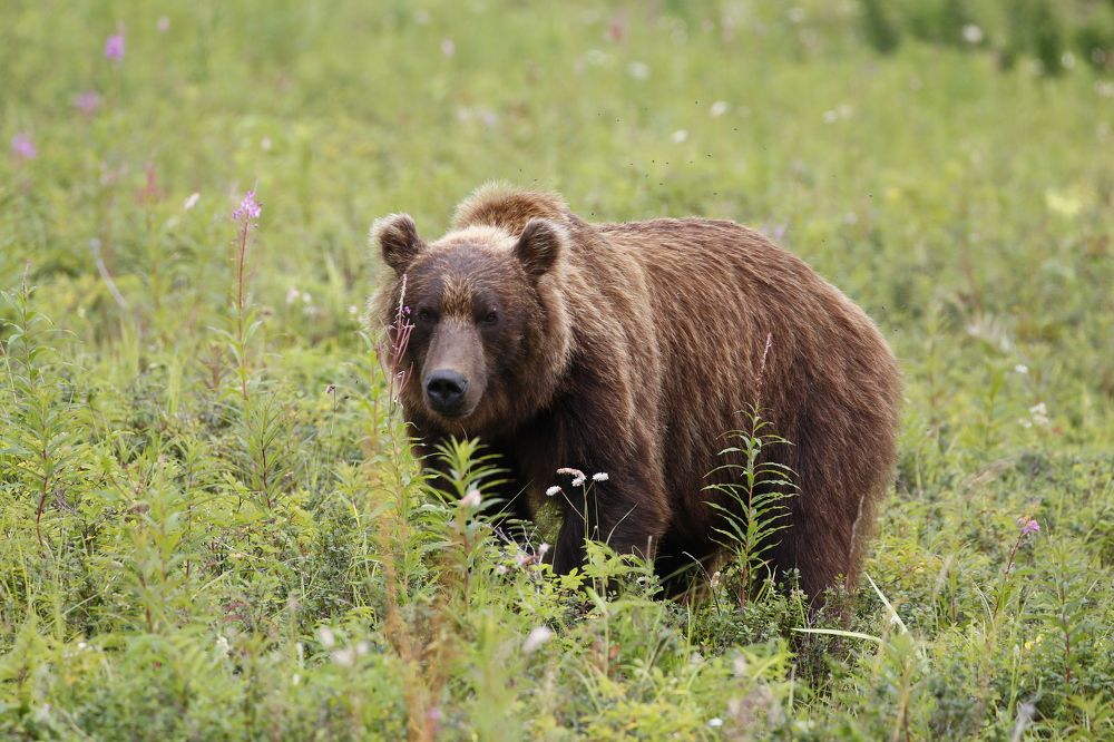 Photograph by Наталья Турчик