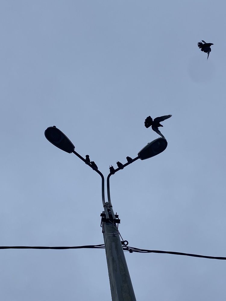 Фотография автора Meline Mikoyan