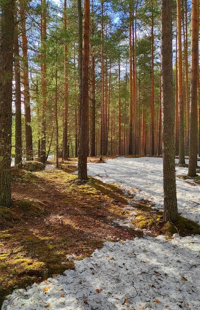 Photograph by PERESHEIN ANDREY